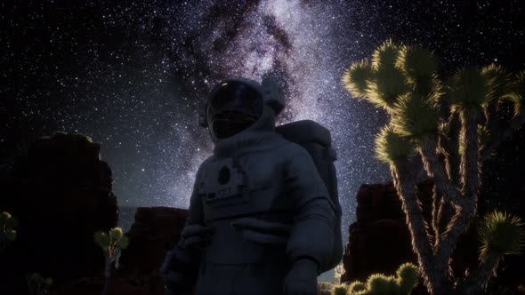 Astronaut and Star Milky Way Formation in Death Valley