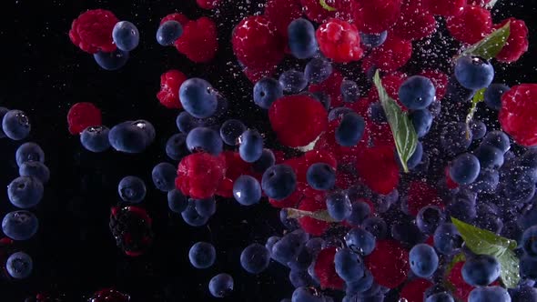 Blueberries and raspberries with mint leaves splashing in to the water. 