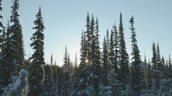 Beautiful Snow Covered Landscape in Canadian Mountain Nature