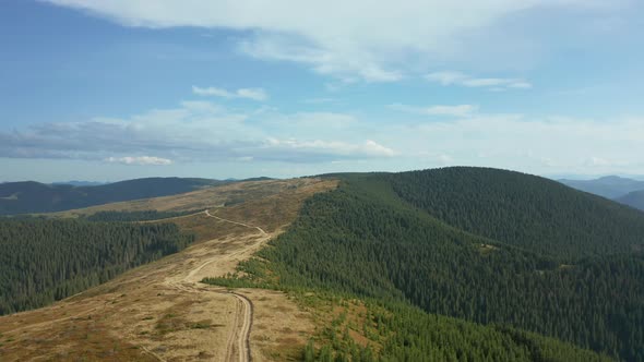 Stunning Mountain Road Landscape with Green Sequoia Trees Growing Against Sky