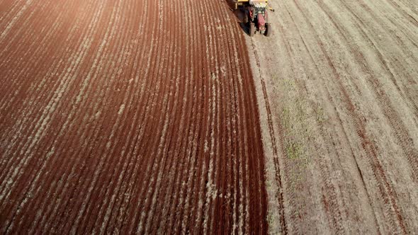 Tractor with seeder in the field. Sowing of corn, Maize in soil, with pneumatic sowing machine durin