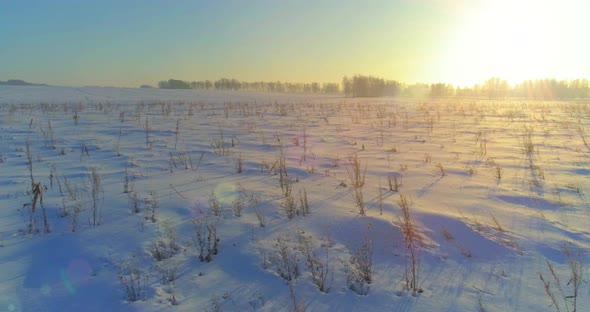 Aerial Drone View of Cold Winter Landscape with Arctic Field Trees Covered with Frost Snow and