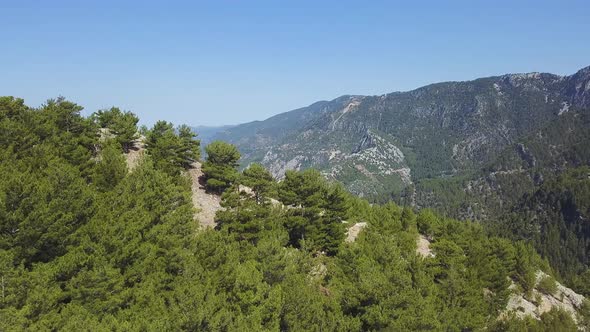 Green mountain range completely covered with trees and vegetation