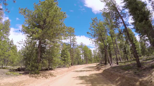 POV point of view -Dirt road in after forest fire area in the mountains near the Cheesman Lake in Co