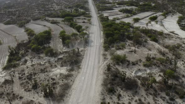Zapotitlan, Puebla Desert Road with No People in Mexico - Aerial