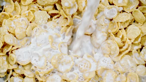 Close-up Milk Pouring Into Corn Flakes and Splashing in Slow Motion, Muesli