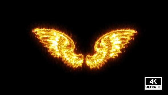 Burning Wings Isolated On Black Background V4