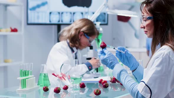 GMO Testing on Fruits in Modern Laboratory