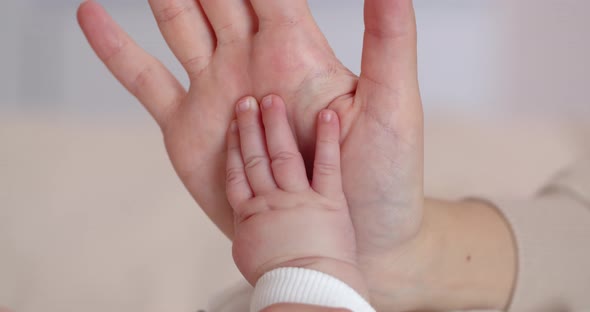 Close Up Of Little Newborn Baby's Hand Touching Mother's Hand.