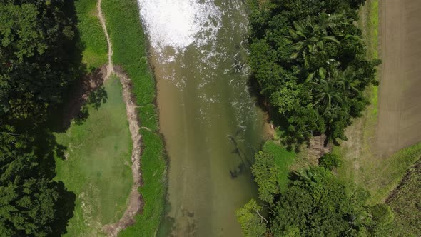 Aerial drone video looking down at a crystal clear crocodile infested creek with lush tropical veget