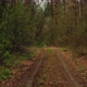 Dirt Road Hiking in Green - VideoHive Item for Sale