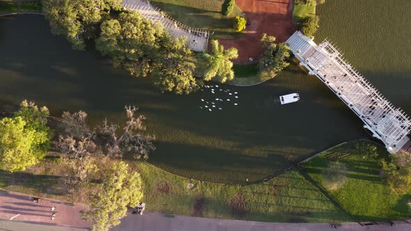 Top down view over Palermo lakes in Buenos Aires city with white boat and ducks following