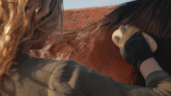 Woman Brushes Horse Prepares for Horseback Riding Care and Love for Pets