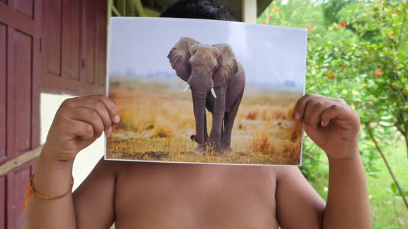 Boy Holding Picture Of Elephant alt