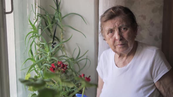 Portrait Of An Elderly Woman With Wrinkles Standing At The Window With Flowers