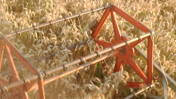 Combine Harvester Harvesting Wheat.