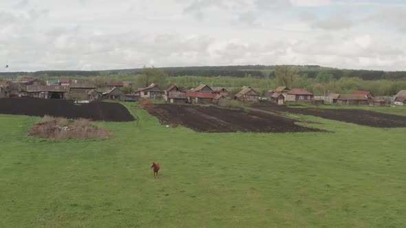 A Village in the Russian Outback. Russian Village in Summer. Rural Landscape.