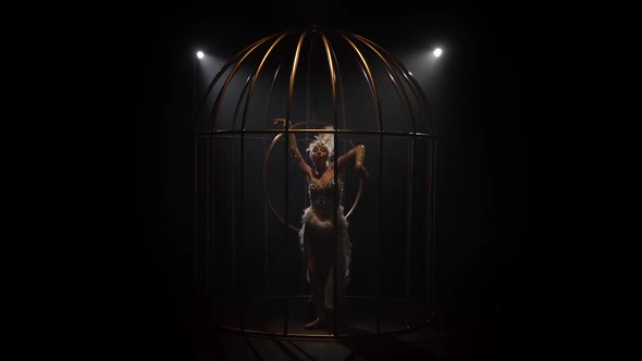 Artist on the Gymnastic Hoop Performs Tricks in a Cage . Black Smoke Background