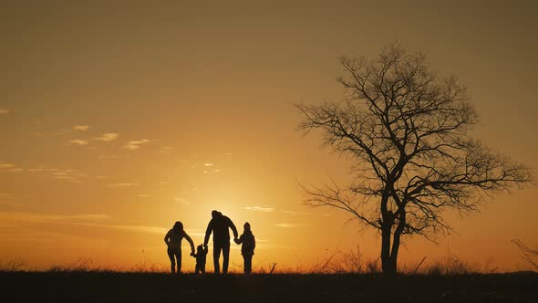 Silhouettes of Happy Family Walking in the Meadow Near a Big Tree During Sunset.