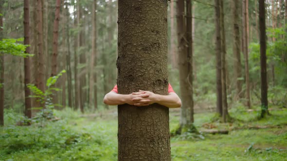 A man with strong hands hugs a tree trunk, nature conservation, environmental protection