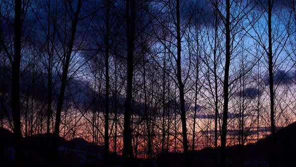 silulets of trees with a moving background, clouds in motion, nice colors after sunset