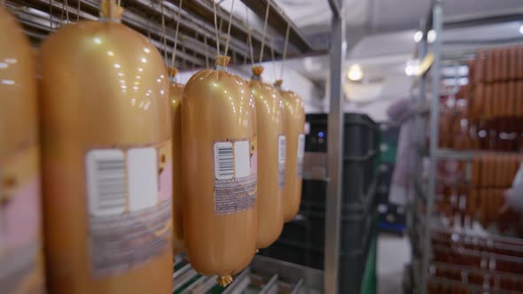 Close Up at the Readymade Meat Factory Products  Sausages Ready for Further Packaging