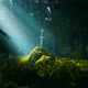 Excalibur In A Fantasy Forest HD - VideoHive Item for Sale