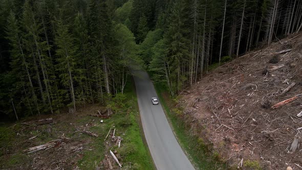 A lone white SUV travels from a clear cut forest into the dense tree line, aerial descend