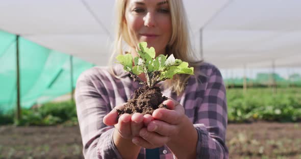 Video of happy caucasian woman holding seedling