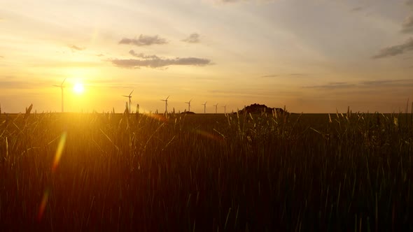 Sunset Views and Wind Turbines alt