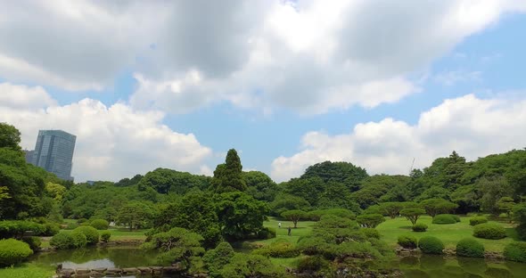 Tilt, Clouds and trees view in Yoyogi park