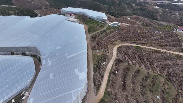 Banana greenhouse aerial view 4 K