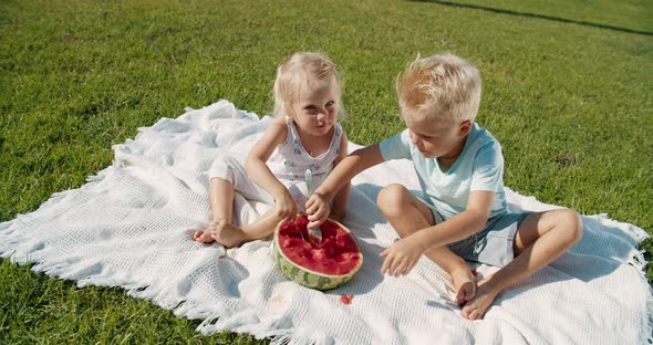 Happy Little Boy and Girl Eating Fresh Watermelon at Picnic in the Park