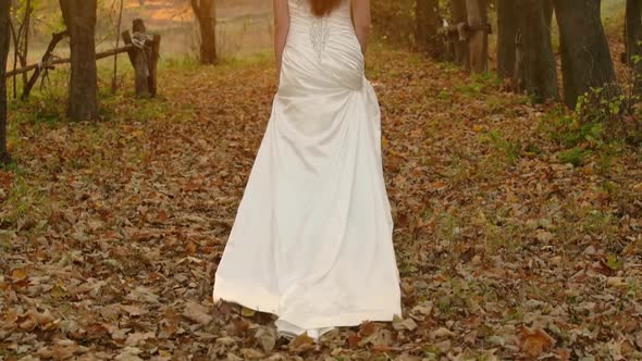 Back View of a Young Brunette Woman in Long White Dress Walks Along Autumn Colorful Forest Against