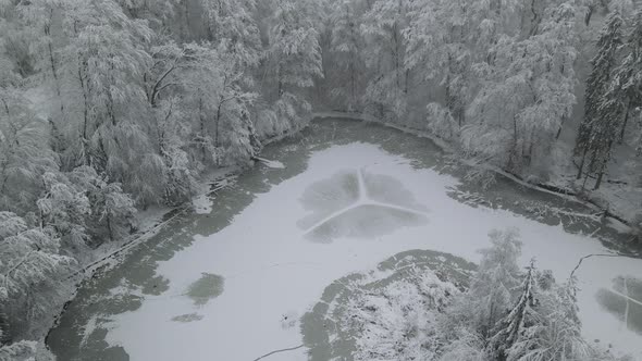 Frozen Small Stream In The Center Of A Forest In Poland - aerial shot