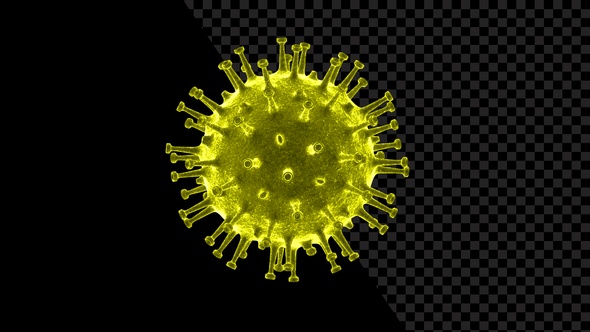 Coronavirus Visualization Covid 19 V4 alt