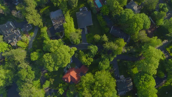 Top Down Aerial Pan Around of Houses Amongst Trees in Roslyn Long Island