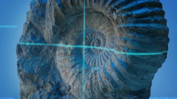 Laser Beam Scans Ancient Shell Fossil