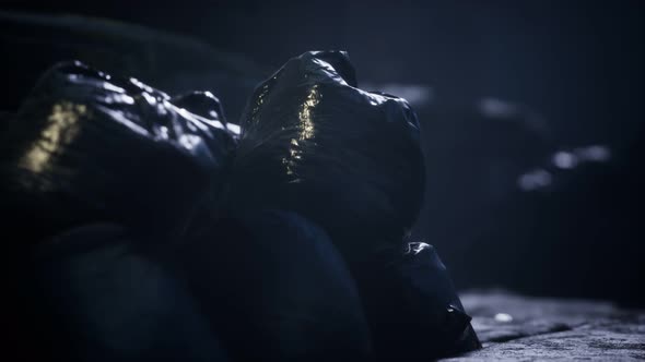 Garbage Bags at City Street an Night alt