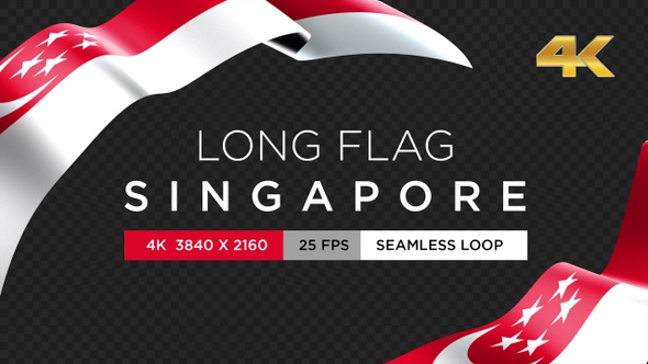 Long Flag Singapore