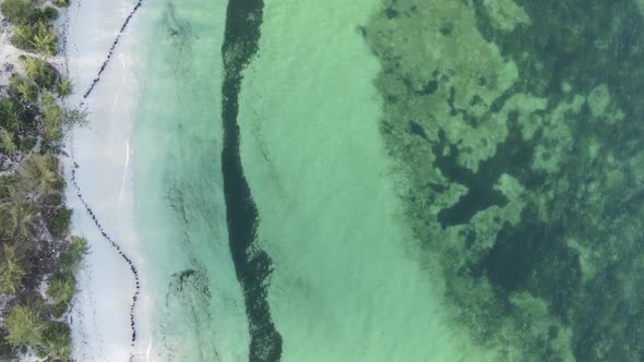 Vertical Video of the Ocean Near the Coast of Zanzibar Tanzania Aerial View