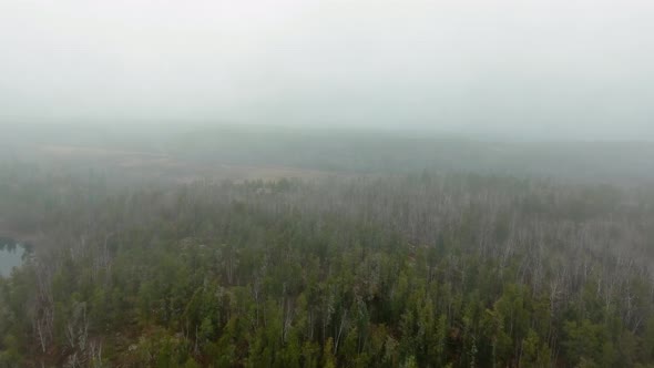 Aerial footage of autumn forest in heavy fog in Manitoba, Canada