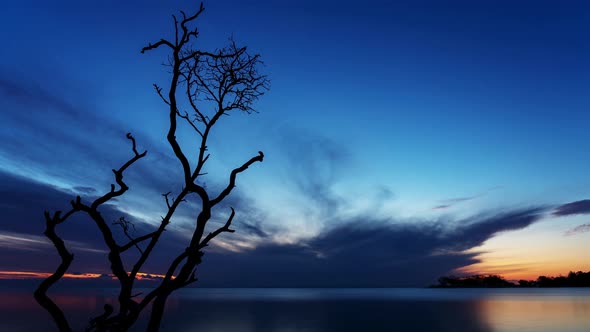 Clouds Moving over a Tree in the Ocean On Fraser Island at Dusk