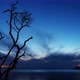 Clouds Moving over a Tree in the Ocean On Fraser Island at Dusk - VideoHive Item for Sale