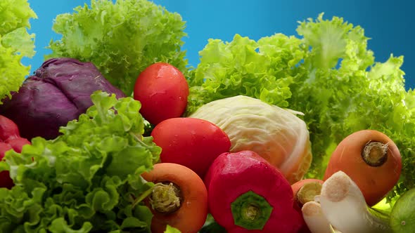 Fresh Vegetables Just Picked From Garden Bed with Water Drops on the Blue Background Agriculture