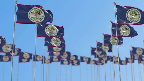 Belize Row Of National flags Walk Throw Animation