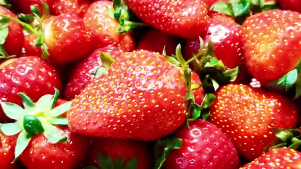 The Camera Moves Along the Strawberries Scattered on the Table