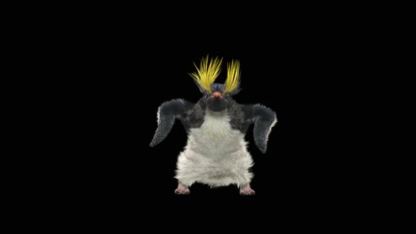 Penguin Dancing HD