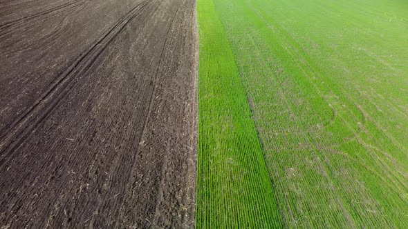 Fly above green field and cultivated spring land