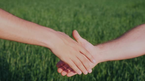 A Firm Handshake of Two Men's Hands. The Deal of Two Farmers and Agribusiness Concept